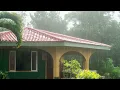 Heavy rainfall in Jamaican Countryside: Rain Sounds in Jamaica