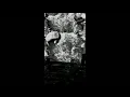 Floated By- Peter Cat Recording Co. (Lyrics In CC)