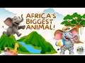 The African Elephant Africa s BIGGEST Animal Fun Facts for Kids Chewata Time