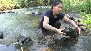 Primitive Life, Smart Girl's Incredible Fishing Technique Using Stones in the Stream