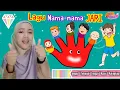 Download Lagu Lagu Jari PAUD | Mengenalkan Nama-nama Jari tangan sambil bermain