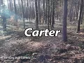 CARTER as Family Name Meaning and Origin