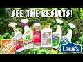 Testing the TOP ORGANIC PESTICIDES from HOME DEPOT and LOWES Do they ACTUALLY WORK