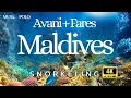 Download Lagu FREE Snorkeling in Maldives 🐠 | Halal-Friendly Avani+ Fares Resort