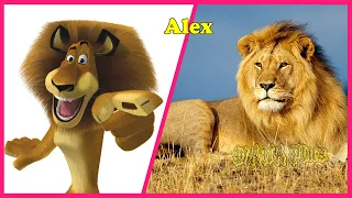                                               دندنها