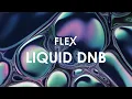 Download Lagu FLEX Pack | Liquid DnB