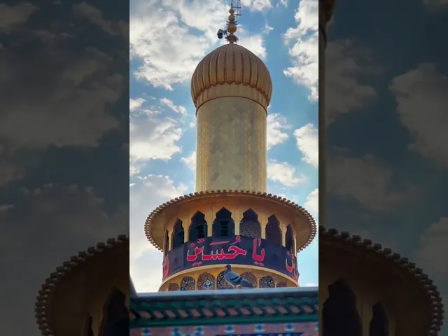 لذت يمك مثل طير  ... لكيت بابك الخير