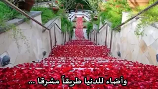 نور على مر الزمان تألقا  نور على مر الزمان تألقا