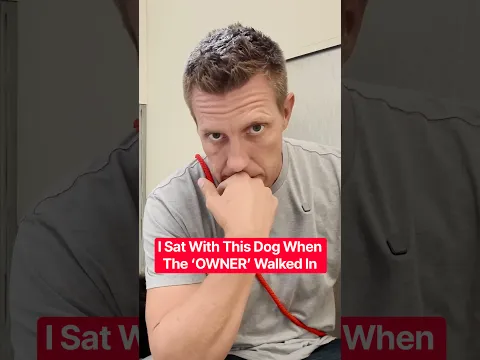 I Sat With This Dog When The ‘OWNER’ Walked In