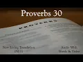 Proverbs 30 - Holy Bible