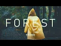 Download Lagu Beyond Forest Trip-Fest in İğneada/Turkey - w/Aytek Dorken for RIKODISCO