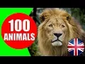 Download Lagu Animals for Kids to Learn - 100 Animals for Kids, Toddlers and Babies in English | Educational Video