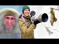 I Filmed Japanese Macaques All Day and This Happened