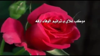 أمي بكفه وكل الكون في كفه دندنها