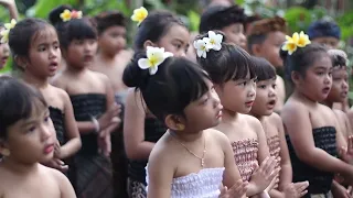 medley juru pencar mejangeran dan goak maling paud pandu dcare denpasar
