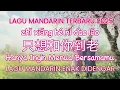 Download Lagu Zhi Xiang He Ni Dao Lao 只想和你到老 | Lagu Mandarin Terbaru 2025 | Lagu Mandarin Enak Didengar