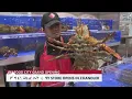 Customers gather for the Seafood City grand opening in Chandler