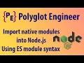 Import Native Modules into Node js Using ES module Syntax