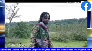 Jaal Sabaaif Galgoo Hogganaa WbO KIBBA BAHA OROMIYAAA 