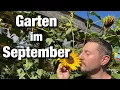 Download Lagu Gartenrundgang September, Aussaaten September,