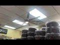 72 Fanimation Slinger v2 Ceiling Fan at a Store