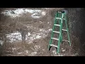 Deer Hunting Strategy - Step Ladder