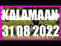 KALAMAAN 31 AUGUST 2022