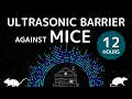 Download Lagu [12h] Ultrasonic Barrier against Mice – Sleep Easy All Night
