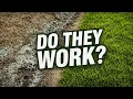 Do Grass Seed Mats Work