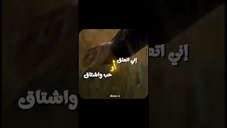 ولا كان على بالي كيف عملت هيك بلال ديركي اغاني ستوريات انستا ستوريات 