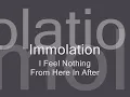 Immolation - I Feel Nothing