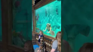 حورية البحر حقيقية 