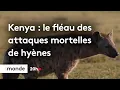 Download Lagu Kenya : le fléau des attaques mortelles de hyènes