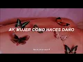 Download Lagu MANÁ - Mariposa Traicionera [ Letra ]