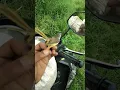 prenjak tebu gacor mental baja~qqq321