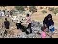 Download Lagu Grandmother's conflict with Masoud over not paying dowry and Meysam's burial