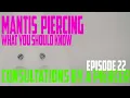 Mantis Piercing What You Should Know Consultations by a Piercer EP22