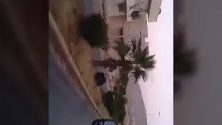 دنيا غريبي كلا ظلم بظلم 