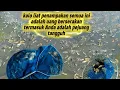 Download Lagu jika yang ANDA liat adalah uang berserakan ARTINYA ANDA PEJUANG NAFKAH berpenglihatan ISTIMEWAH👌👍😎