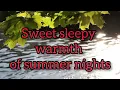 A Summer Song Lyrics- Chad & Jeremy