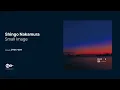 Shingo Nakamura - Small Image