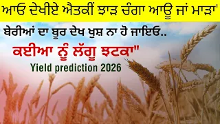 ਆਓ ਦੇਖੀਏ ਐਤਕੀਂ ਕਣਕਾਂ ਦਾ ਝਾੜ ਚੰਗਾ ਆਊ ਜਾ ਫਿਰ ਮਾੜਾ' 2026' ਬੇਰੀਆਂ ਦੇ ਬੂਰ ਦਾ ਸੱਚ ਕੀ।