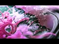 Download Lagu Linkin Park - From Zero (Intro)