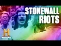 How the Stonewall Riots Sparked a Movement History
