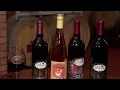 Get a taste of Italy s finest wines at the Potomac Point Winery in Virginia NBC4 Washington