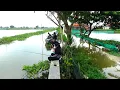 Lagu Gak kira2 rezekinya pemancing suami istri ini Baru pertama kali mancing kesini panen ikan mas