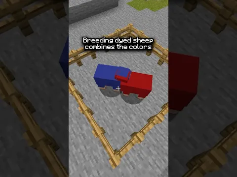 The WILDEST Minecraft Myths Put To The Test #minecraft #shorts