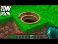 Lagu I found a TINY LONGEST DOOR PIT in Minecraft ! TINY DOOR