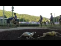 Wheeling Island Racetrack Post Parade 2016