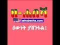 Zehabesha News Tube Live Stream